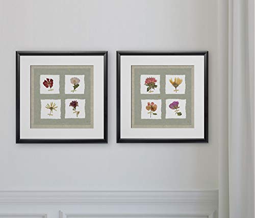 Pressed Blooms I