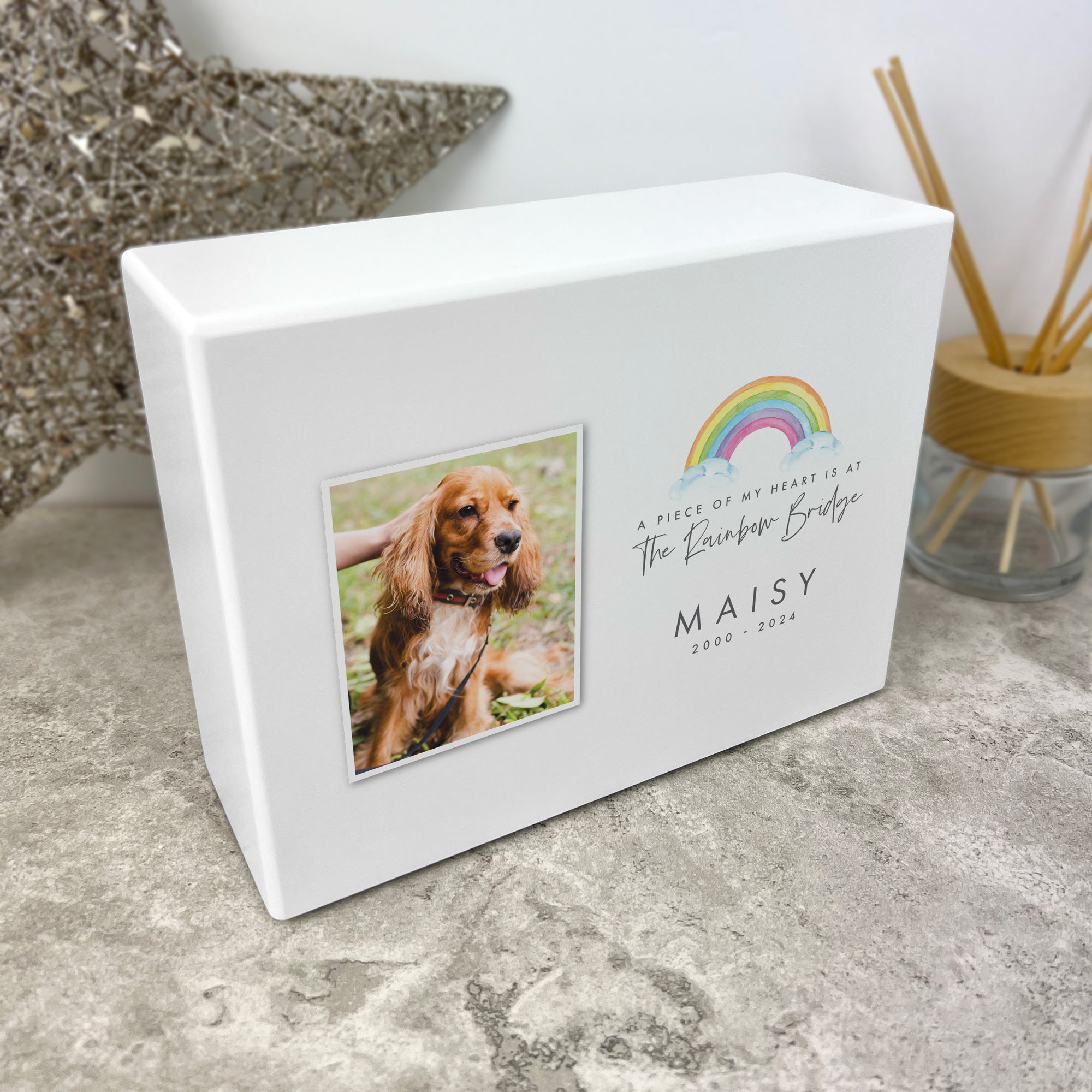 Personalized Watercolor Rainbow Bridge Pet Cremation Urn for Ashes - 1.09L Memorial Keepsake | Perfect for Honoring Beloved Dogs, Cats & Pets at Home