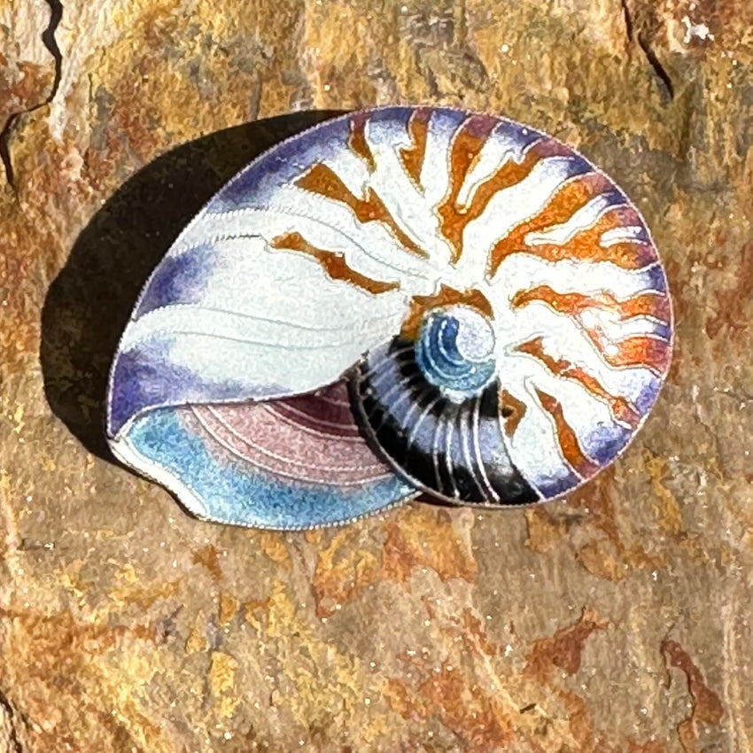 Vintage Guilloche Enamel Cloisonné Nautilus Shell Brooch Pin - Antique Style Jewelry for Women, Collectors Gift & Fashion Accessory - Perfect for Vintage Outfits, Special Occasions & Jewelry Collections