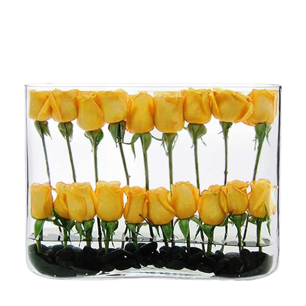 Elegant CYS EXCEL Glass Rectangle Vase - 12