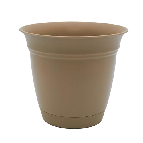 Sandstone