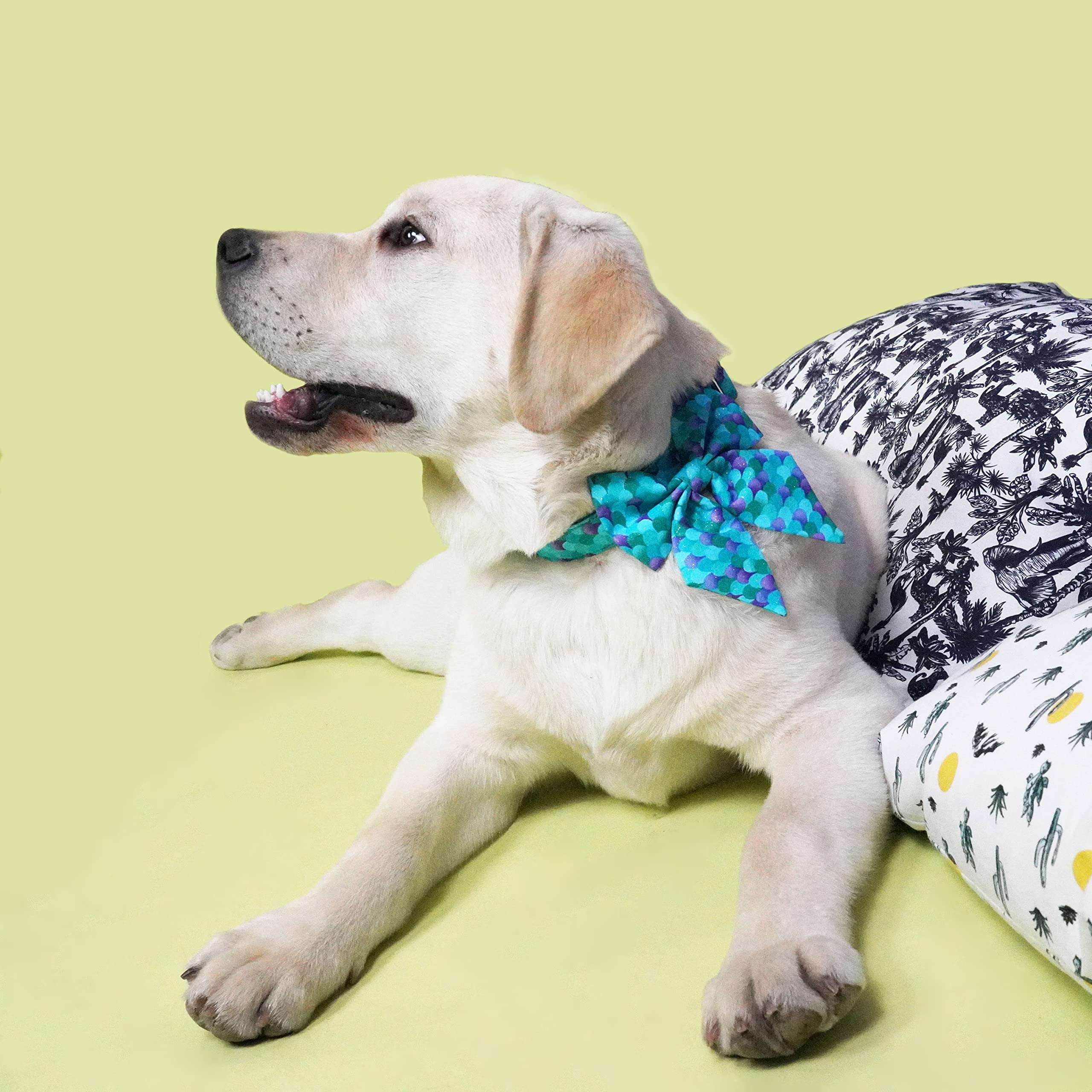 Adjustable Soft & Comfortable Dog Collar with Bowtie - Perfect for Small, Medium & Large Dogs - Ideal Gift for Boy or Girl Pets - Great for Daily Walks, Special Occasions & Photo Shoots
