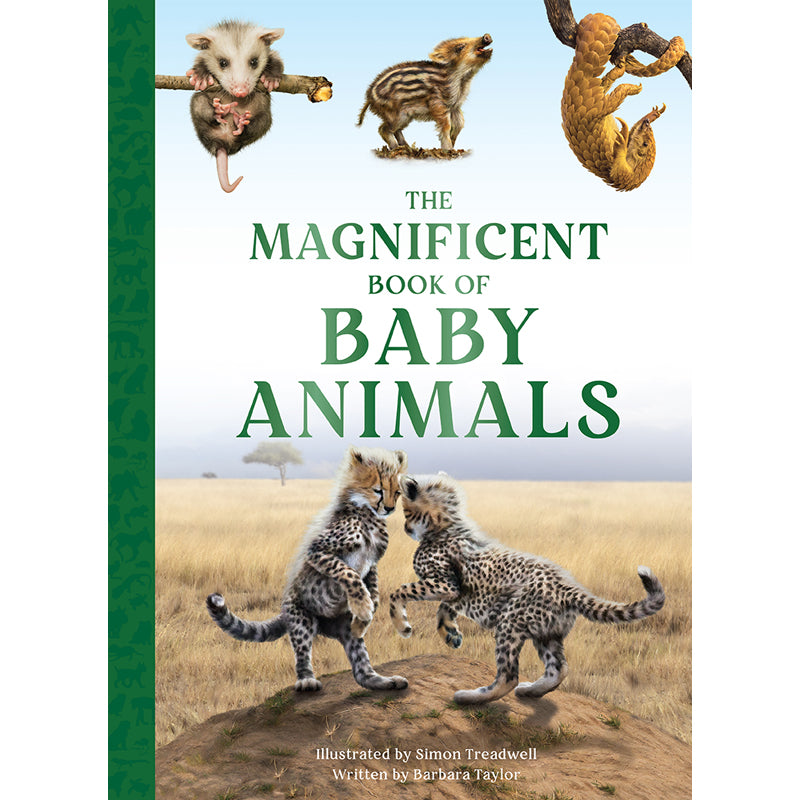 The Magnificent Book of Baby Animals - Adorable Wildlife Photography for Kids & Parents | Perfect for Bedtime Stories, Homeschooling & Nature Education