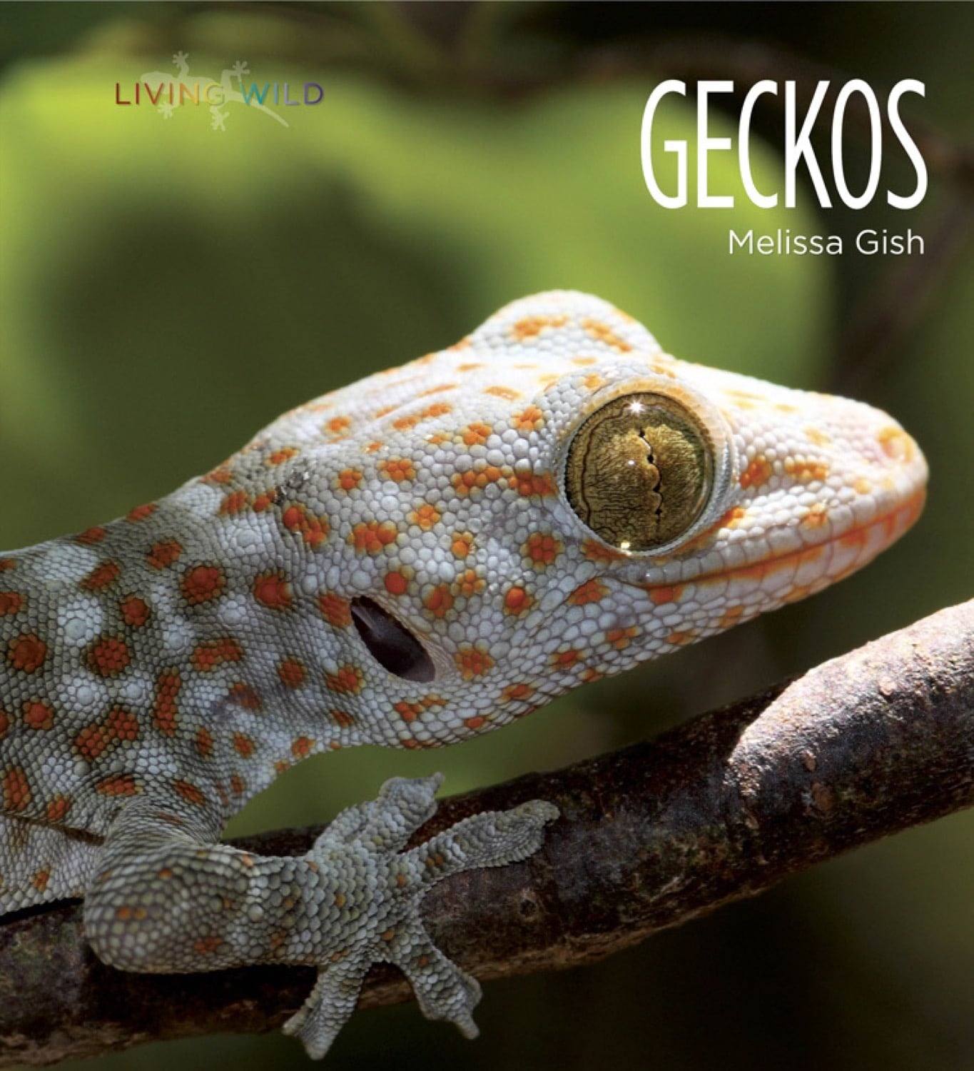 Geckos Book - ISBN 9781608184170 - Reptile Guide for Pet Owners & Nature Enthusiasts - Perfect for Home Libraries & Educational Use