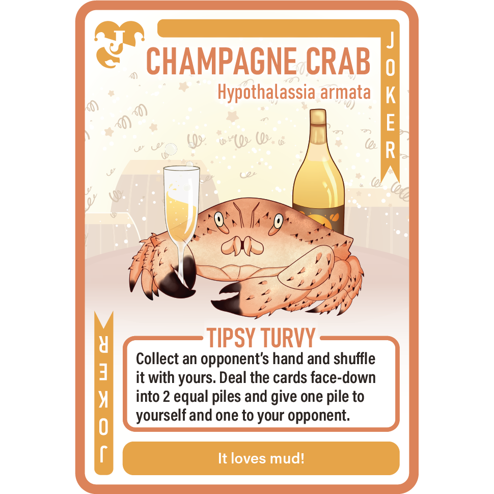 Fresh Live Crabs in a Bucket - Premium Seafood for Cooking, Steaming & Boiling | Perfect for Seafood Lovers, Home Chefs & Seafood Boil Parties