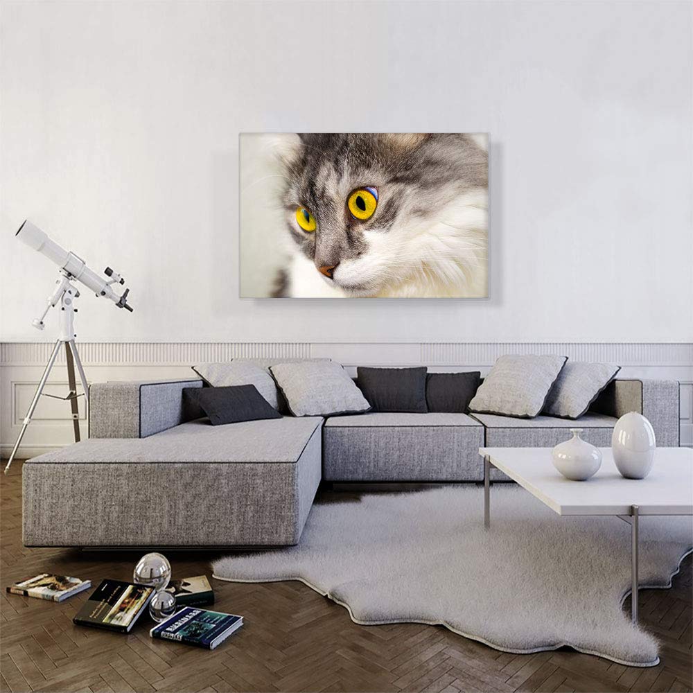 Persian Cat Canvas Art Print - Stretched Framed Wall Decor Painting - 40x26 Inch Giclee Home Decor - Perfect for Living Room, Bedroom & Office Decor