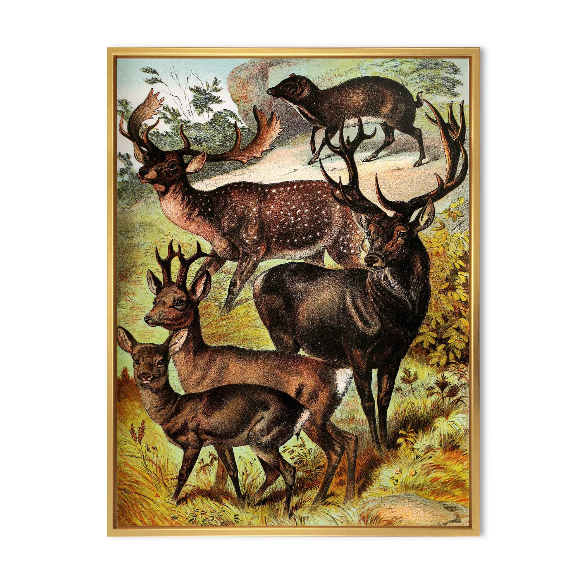 Vintage Mammals I - Farmhouse Framed Canvas Wall Art Print | Animal Themed Home Decor | Perfect for Living Room, Bedroom & Office Wall Decor