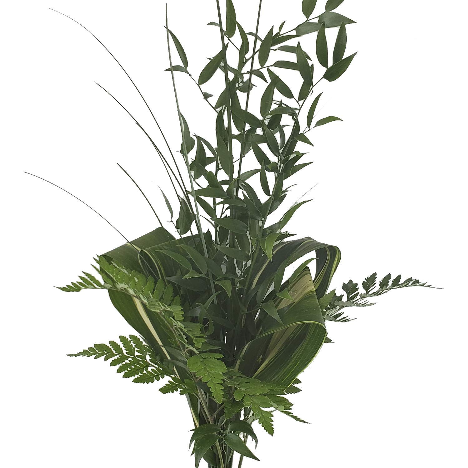 Grandeur Greens Mixed Bouquet - 10 Pack Fresh Cut Greenery for Delivery | Perfect for Home Decor, Office, Weddings, Birthdays & Parties | DIY Floral Arrangements, Housewarming Gifts, Teacher Appreciation & Engagement Decor