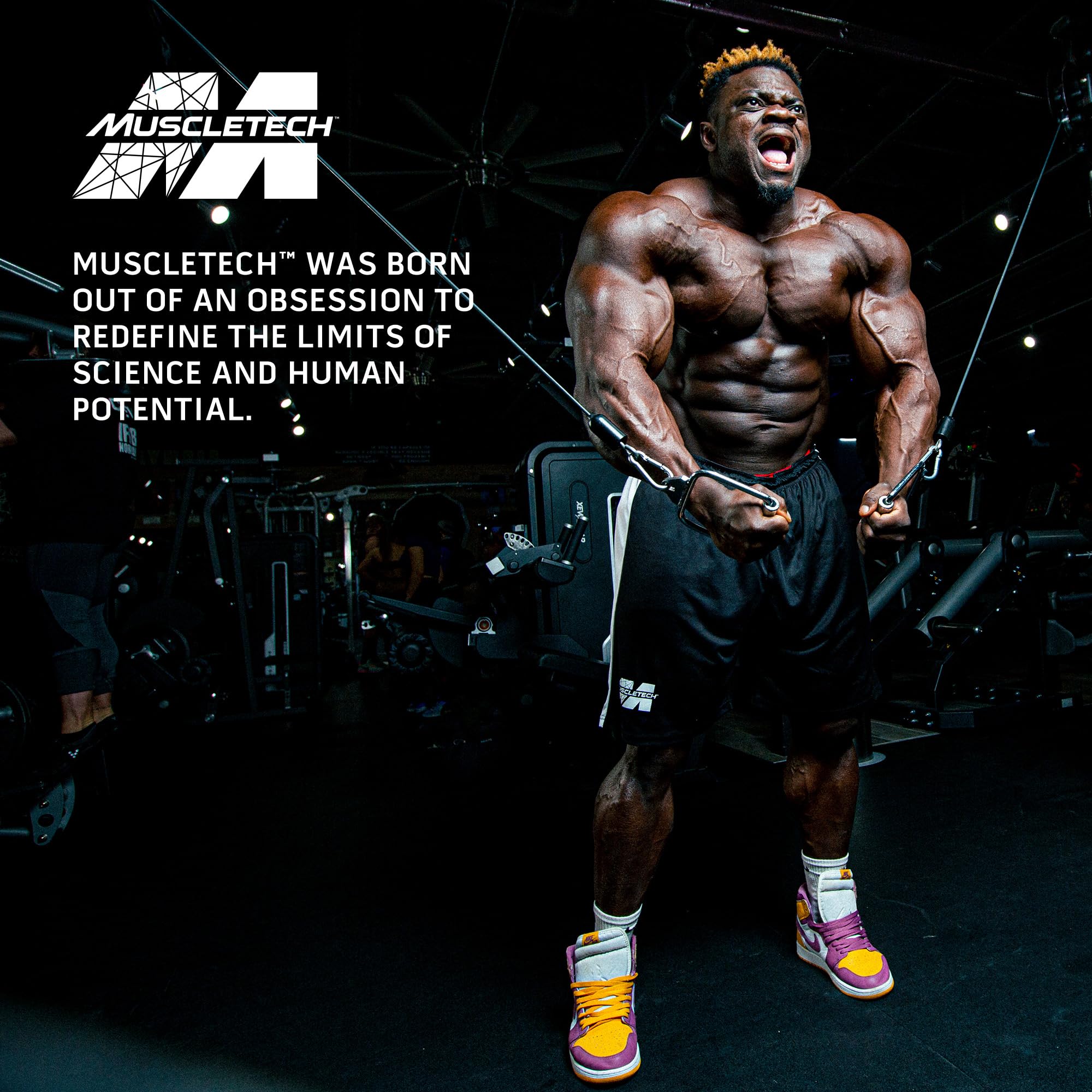 MuscleTech Mass Tech Extreme 2000 High-Protein Weight Gainer Powder (Triple Chocolate Brownie, 6LB) - Muscle Building Supplement for Strength & Recovery - Perfect for Post-Workout Shakes & Bulking Season