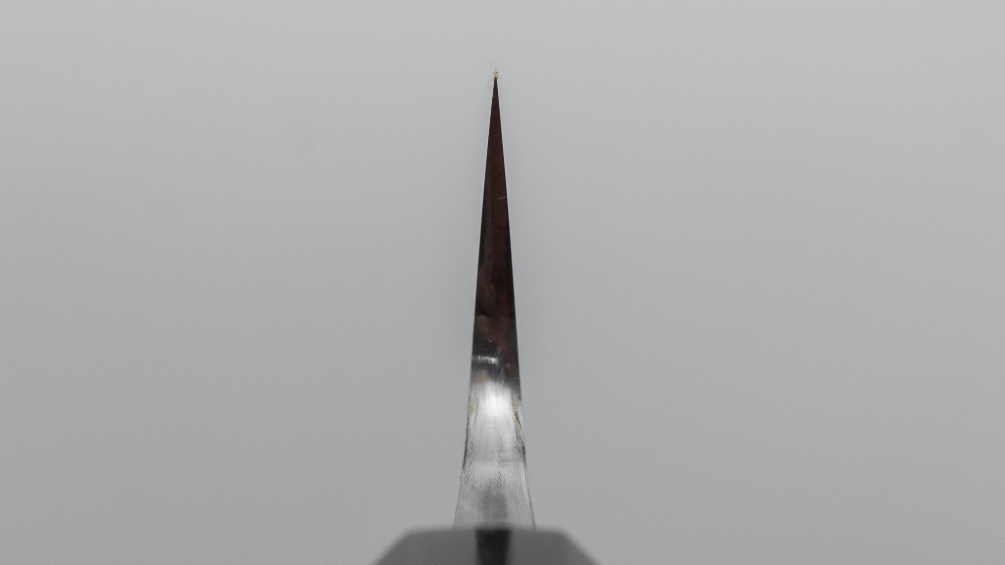 Premium Jiro Tsuchime Wa Sujihiki 210mm Japanese Slicing Knife - Taihei Tagayasan Handle (#663) - Perfect for Sushi, Sashimi & Meat Carving