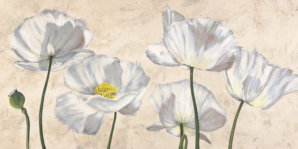 Villa Luca Poppies in White Wall Art Poster Print - 48x24 Inches Floral Home Decor for Living Room, Bedroom & Office