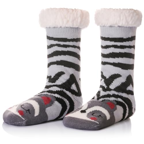 Grey Raccoon
