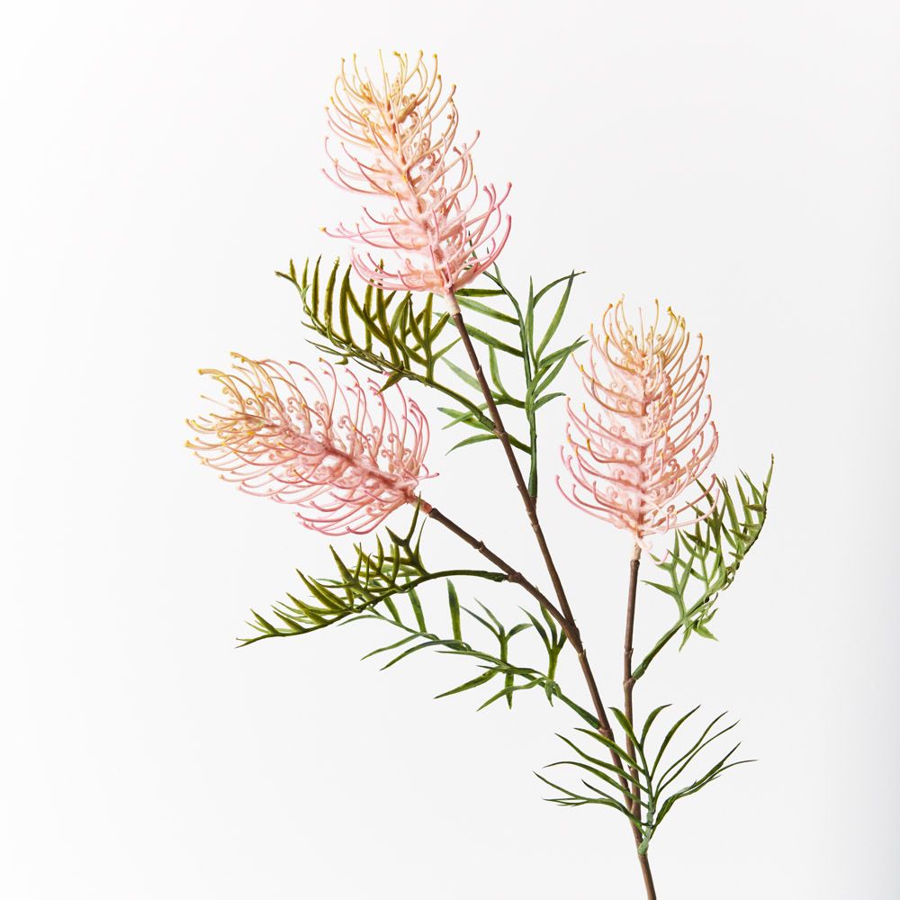 Light Pink Grevillea Spray - Fresh Floral Arrangement for Weddings, Home Decor & Special Events