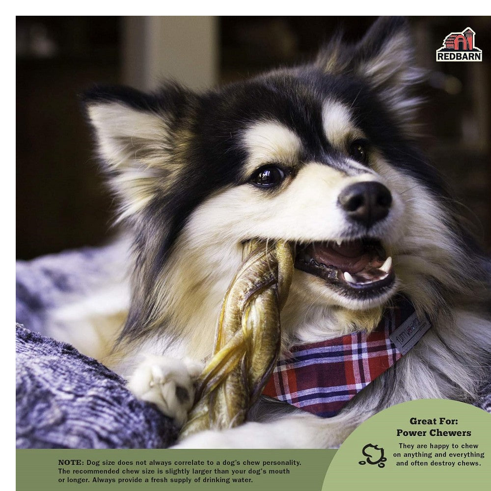 Natural Braided Bully Stick Dog Chews - Long-Lasting Dental Treats for Puppies & Adult Dogs - Promotes Teeth Cleaning & Healthy Gums - Perfect for Training, Teething, and Anxiety Relief
