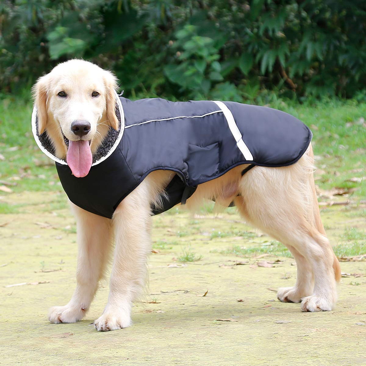 QBLEEV Reflective Waterproof Dog Winter Coat - Fleece Lined Warm Dog Jacket with Turtleneck for Small, Medium & Large Dogs - Cold Weather Snowsuit & Christmas Pet Apparel (Ideal for Outdoor Walks, Winter Adventures & Holiday Photos)