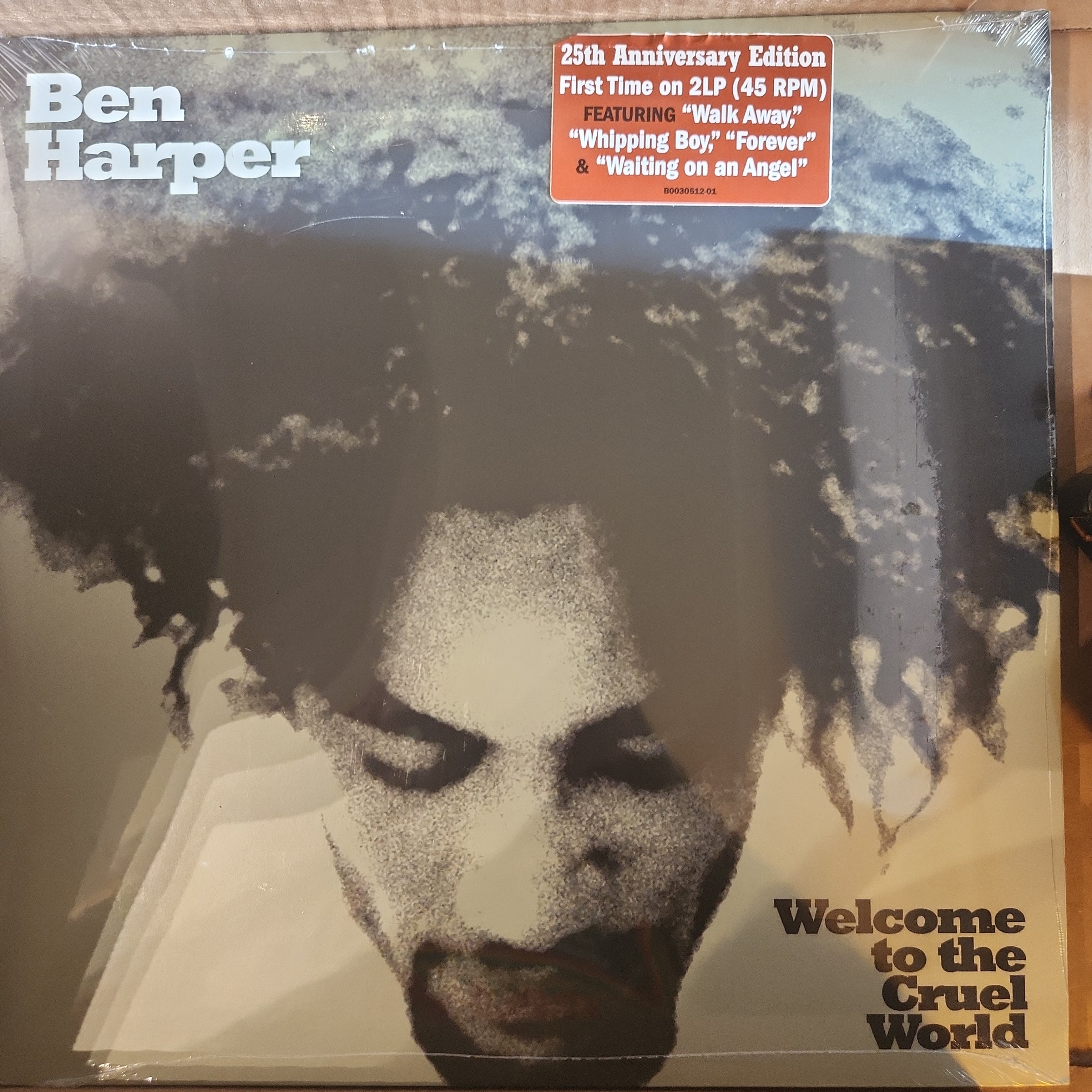 Ben Harper - Welcome to the Cruel World Vinyl LP Record | Limited Edition Collector's Item for Music Enthusiasts & Vinyl Lovers | Perfect for Home Listening, Gifts & Music Collections