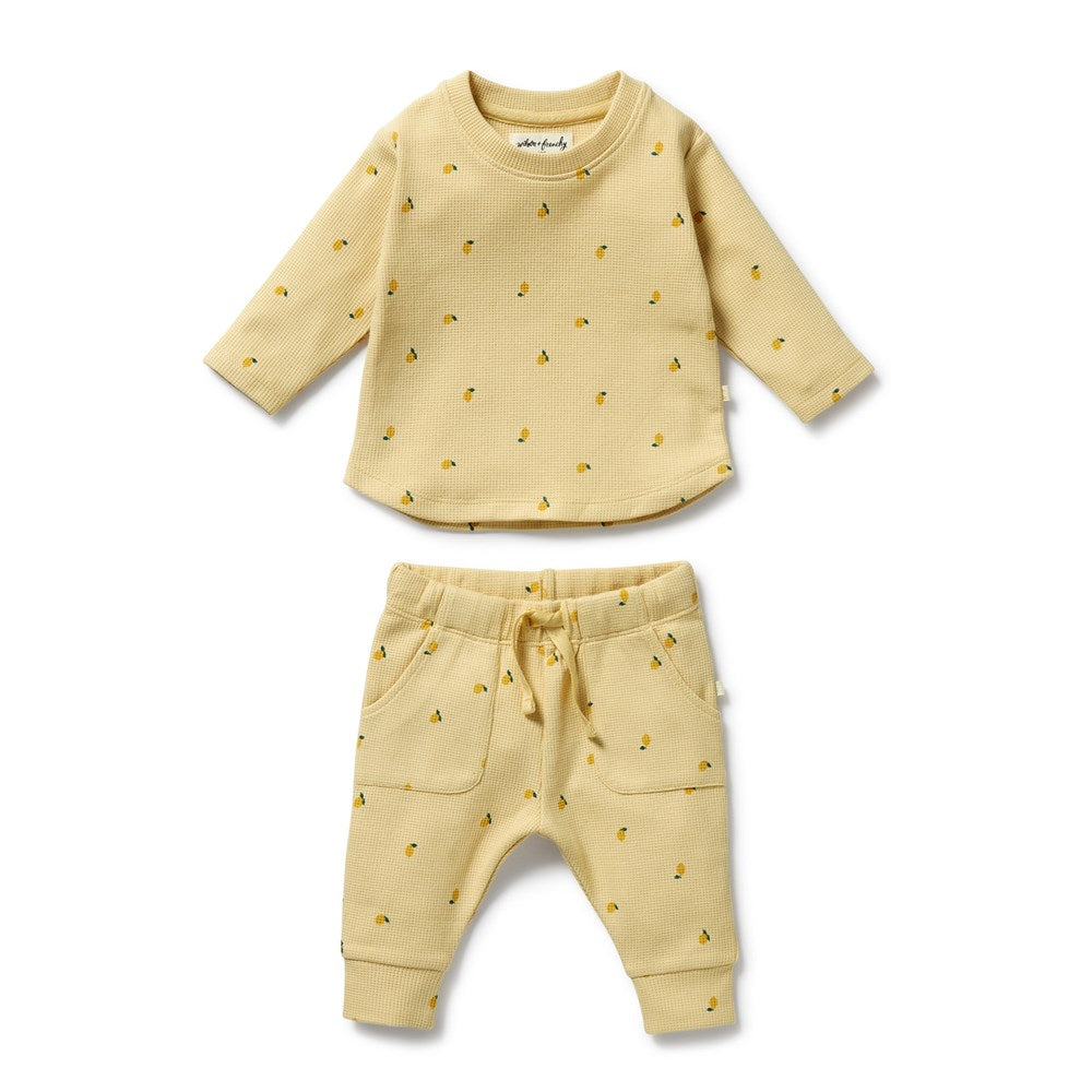 Little Lemon