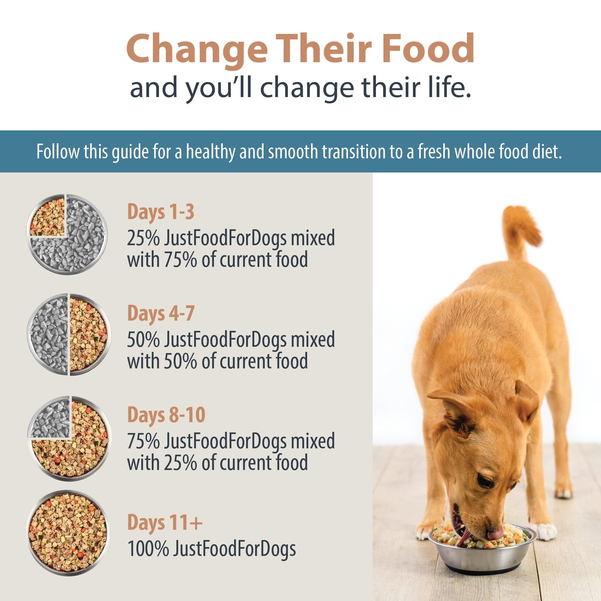 JustFoodForDogs Pantry Fresh Wet Dog Food - Turkey & Whole Wheat Macaroni Recipe | Human-Grade Complete Meal or Food Topper for Dogs | 12.5 oz (6-Pack) | Perfect for Home Feeding, Travel & Picky Eaters