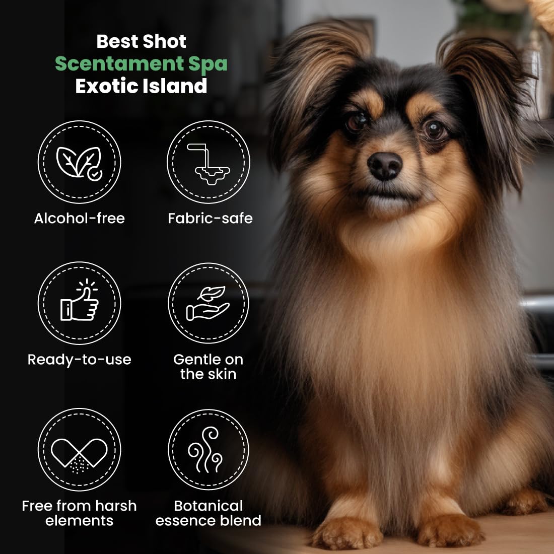 Best Hypoallergenic Pet Cologne Spray for Dogs & Cats - 8oz Botanical Body Splash & Detangler with Exotic Island Scent | Gentle Spa Formula for Grooming, Freshening & Tangle-Free Fur Care