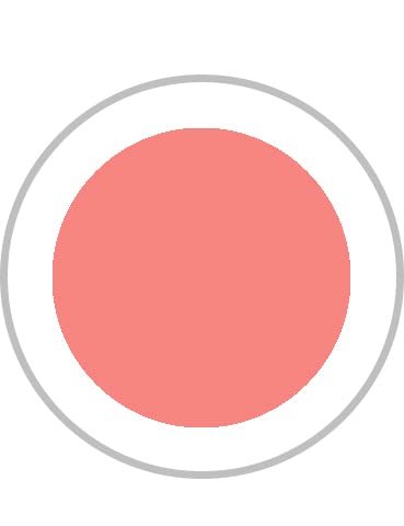 Raspberry Sorbet