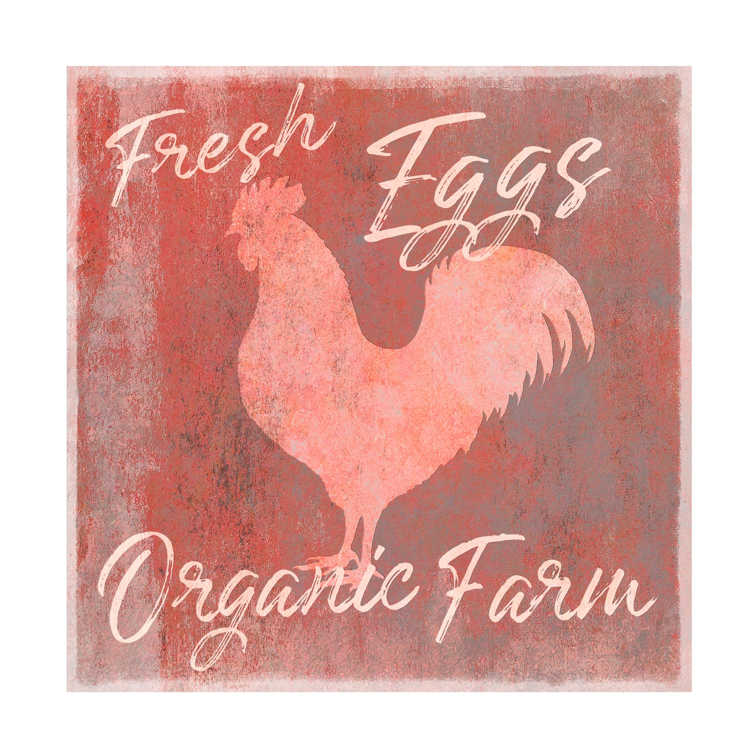 Trademark Fine Art 'Organic Farm Rooster' Canvas Wall Art by Cora Niele - Farmhouse Decor for Kitchen, Living Room & Country Style Home