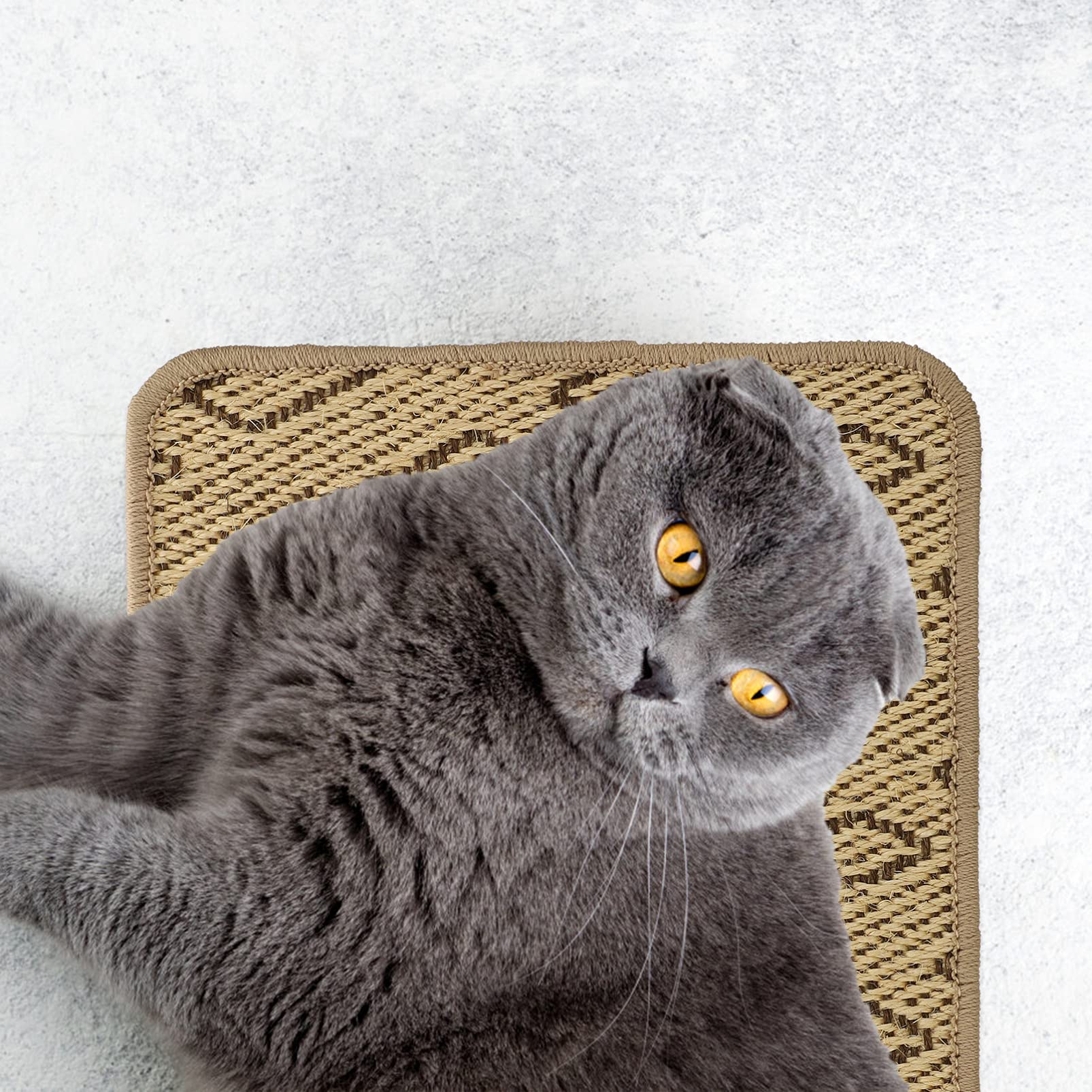 Balacoo Sisal Cat Scratching Mat - Durable Floor & Couch Protector for Cats, Sofa Scratch Pad Replacement, Cat Rug & Claw Cover - Perfect for Living Room, Bedroom, and Furniture Protection