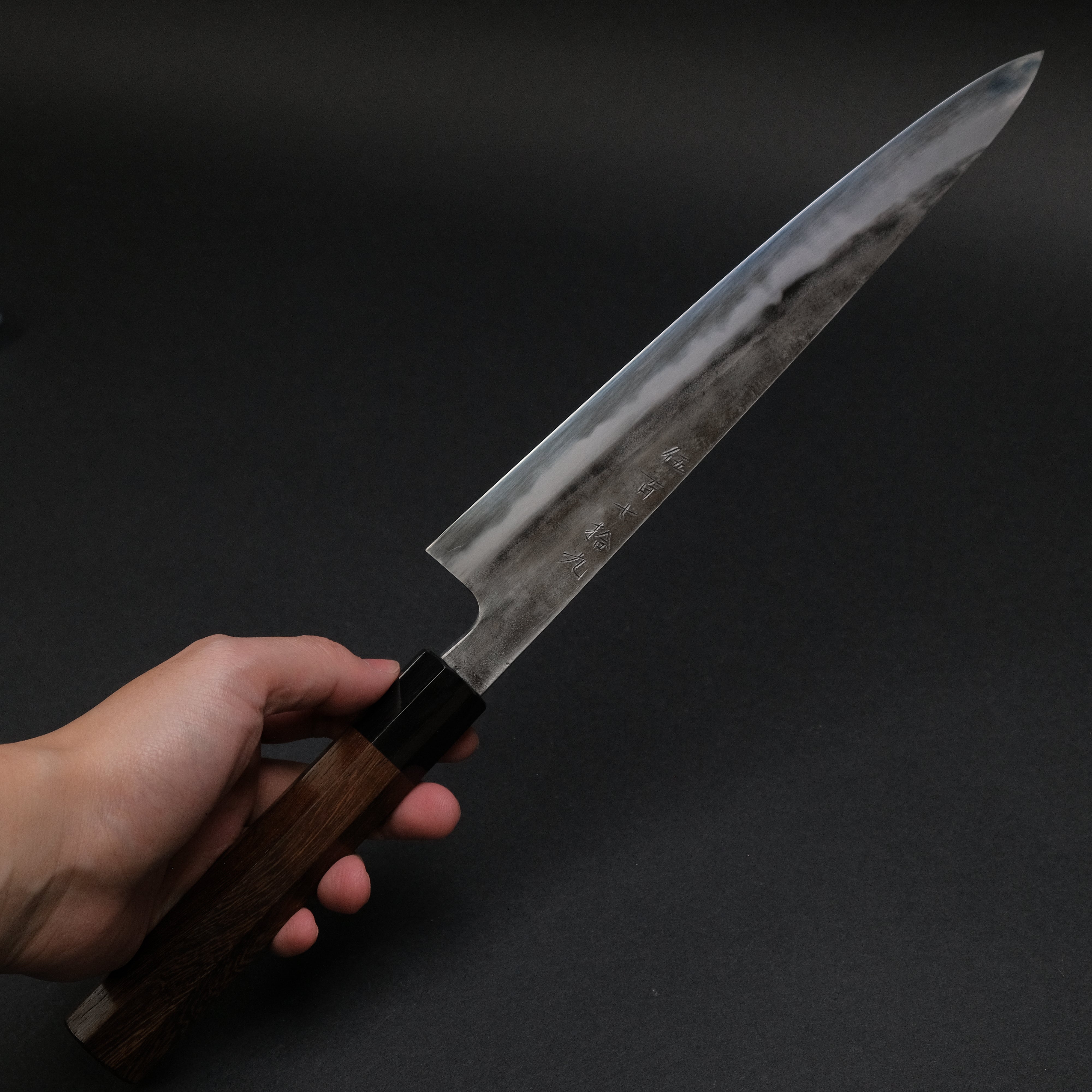Jiro Tsuchime Sujihiki Knife 240mm - Premium Japanese Slicing Knife with Taihei Tagayasan Handle (#579) - Perfect for Sushi, Sashimi & Meat Carving