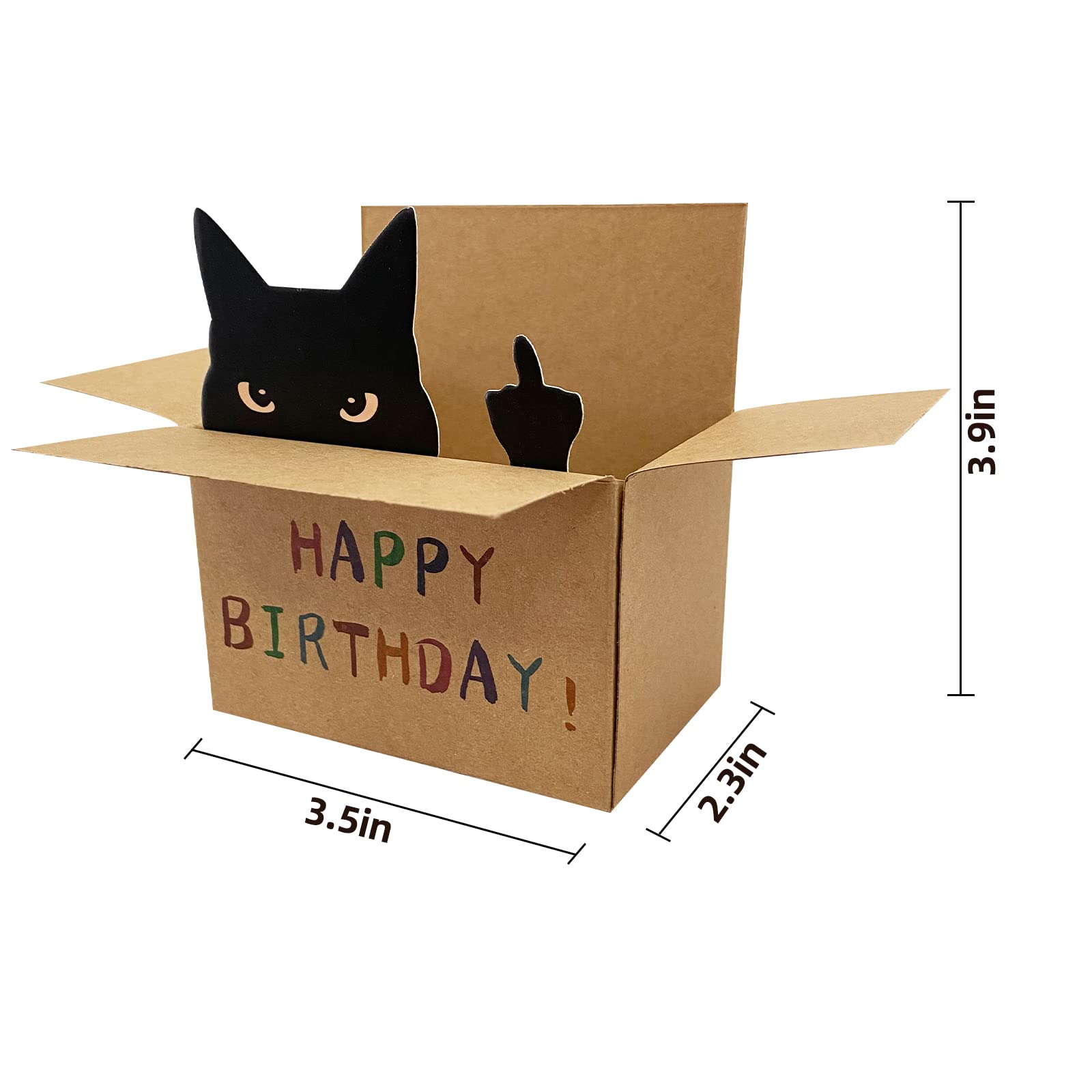 Funny Cat Birthday Card for Men & Women - Unique Humorous Greeting Card for Friends & Family - Perfect for Birthdays, Anniversaries & Special Occasions