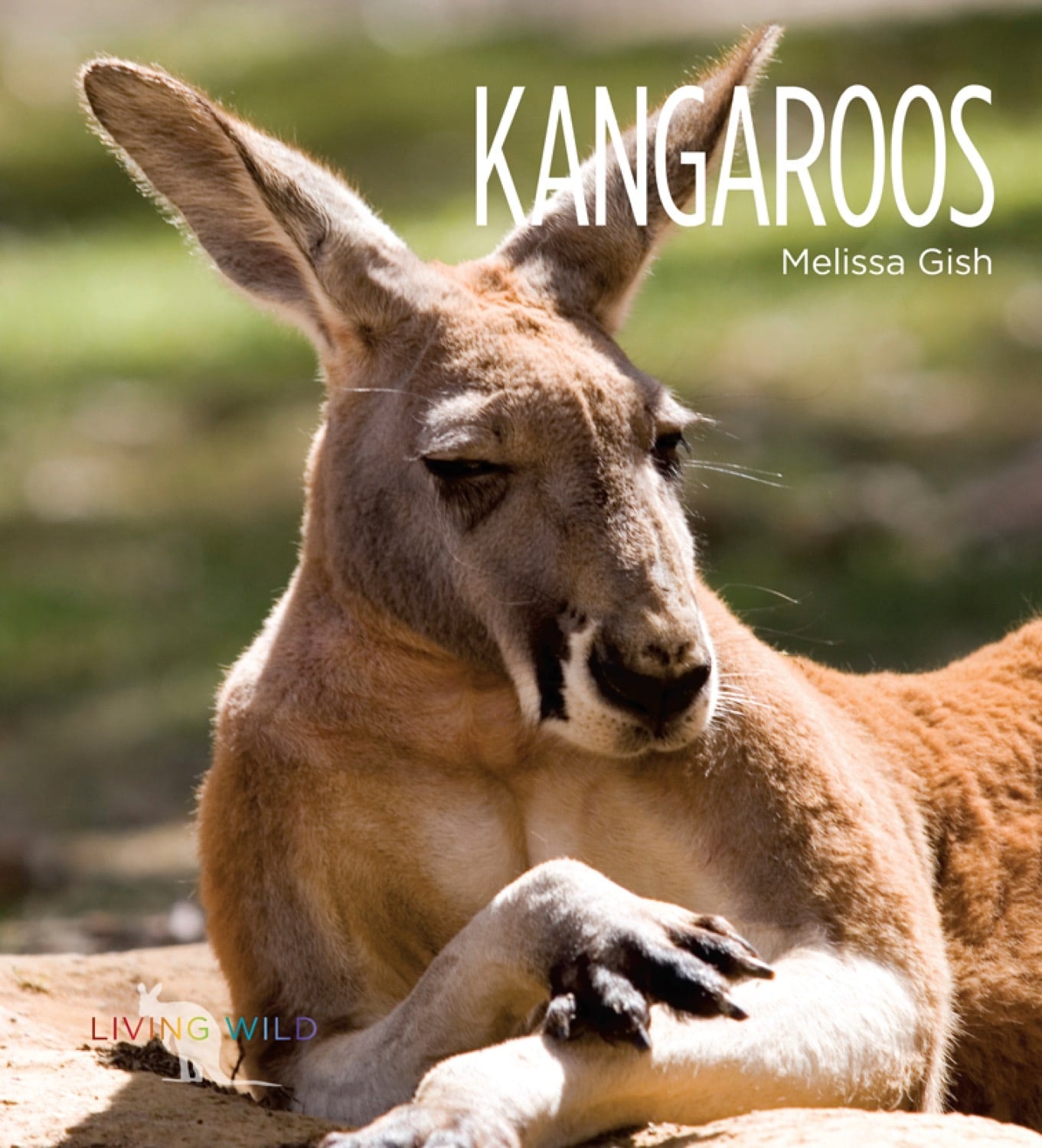 Kangaroos: Fun Facts and Amazing Photos - ISBN 9781583419700 - Perfect for Kids' Learning & Animal Lovers