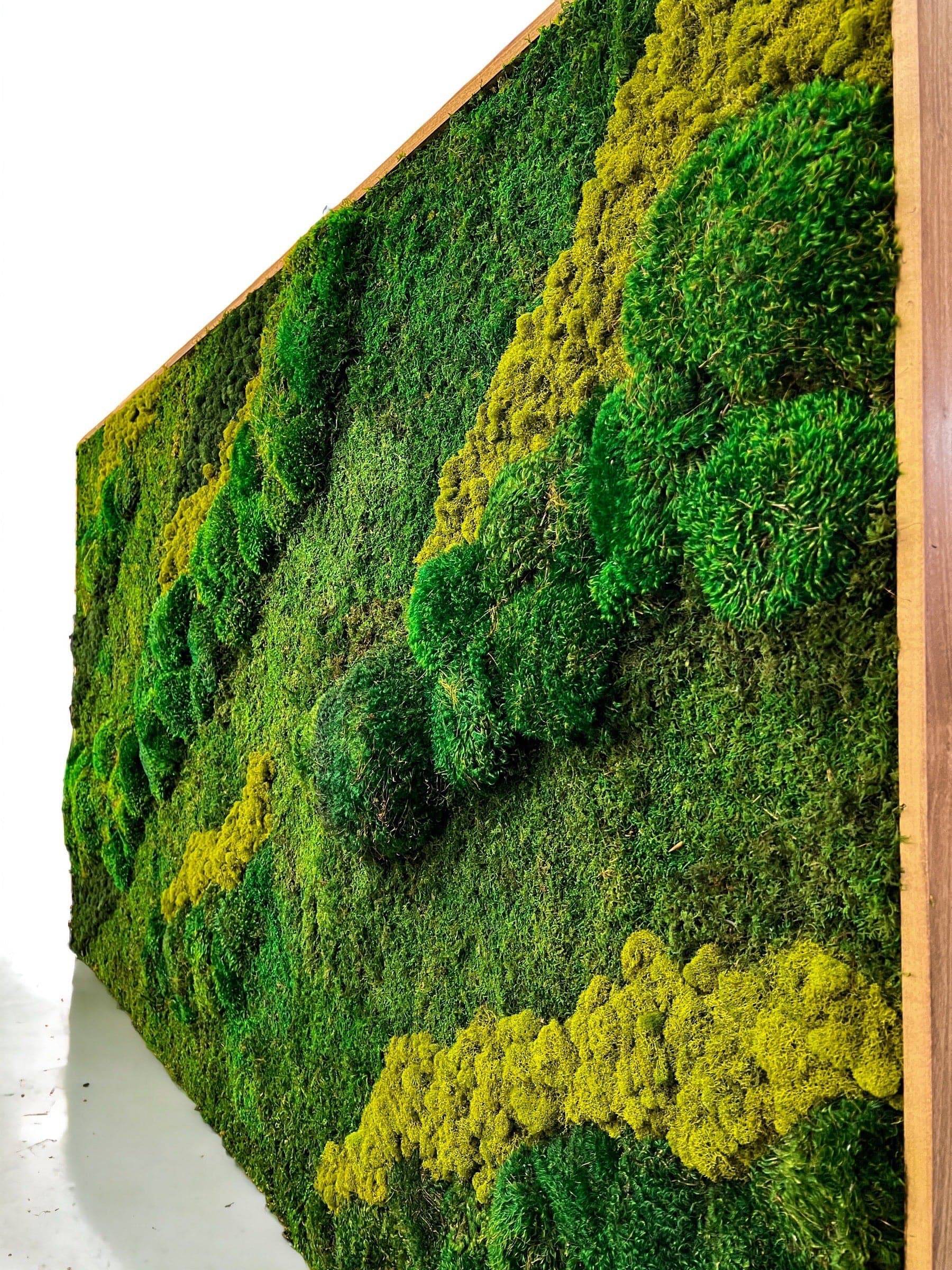 Natural Forest Ground Mood Moss Wall Art - Preserved Real Moss Decor for Home & Office - Perfect for Living Room, Bedroom, and Indoor Green Spaces