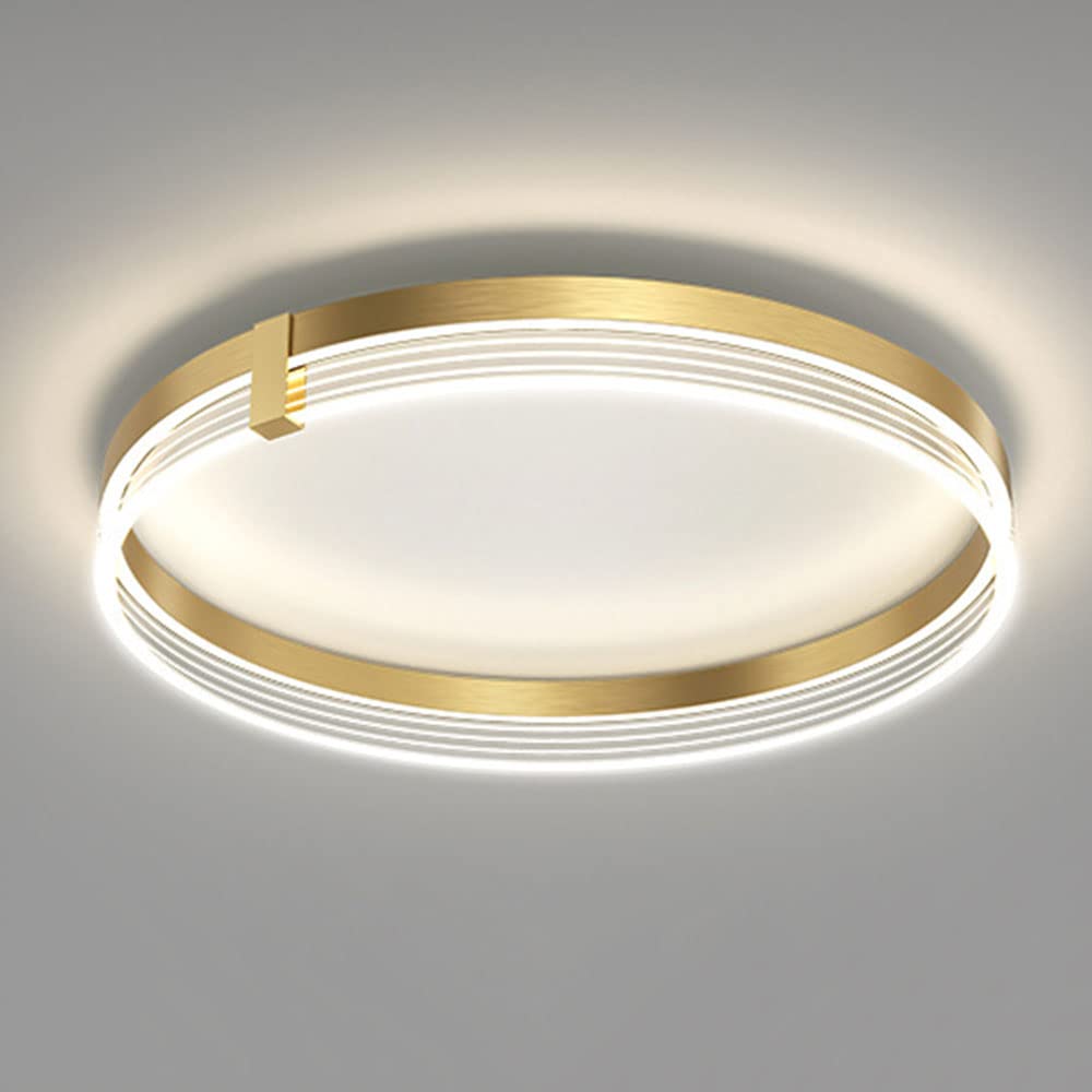 Luxury Flush Mount Ceiling Light - Modern LED Close-to-Ceiling Fixture with Remote Control, Dimmable 3000K-6500K for Living Room, Kitchen, Bedroom | Perfect for Home Lighting & Interior Decor