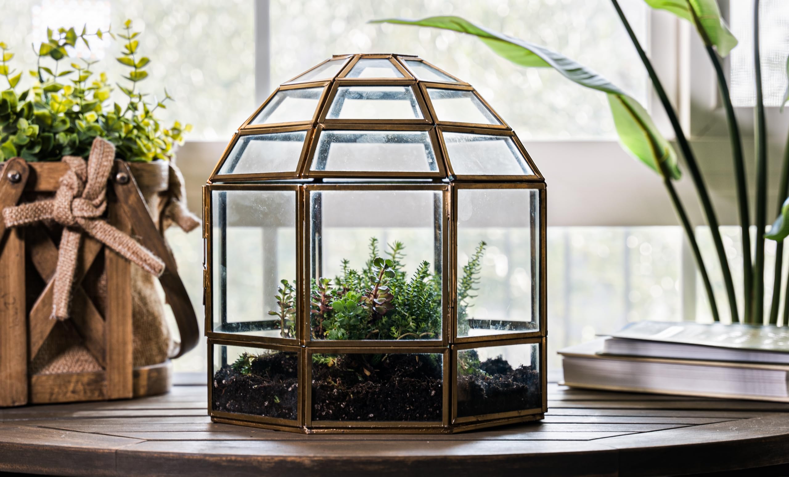Handmade Large Glass Terrarium Birdcage - 10
