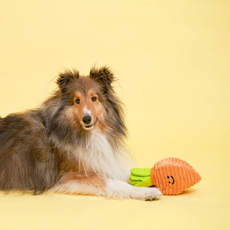 Bacon Scented Carrot Nose Work Toy for Dogs - Interactive Training & Scent Game Toy for Puppies and Adult Dogs - Perfect for Indoor & Outdoor Play