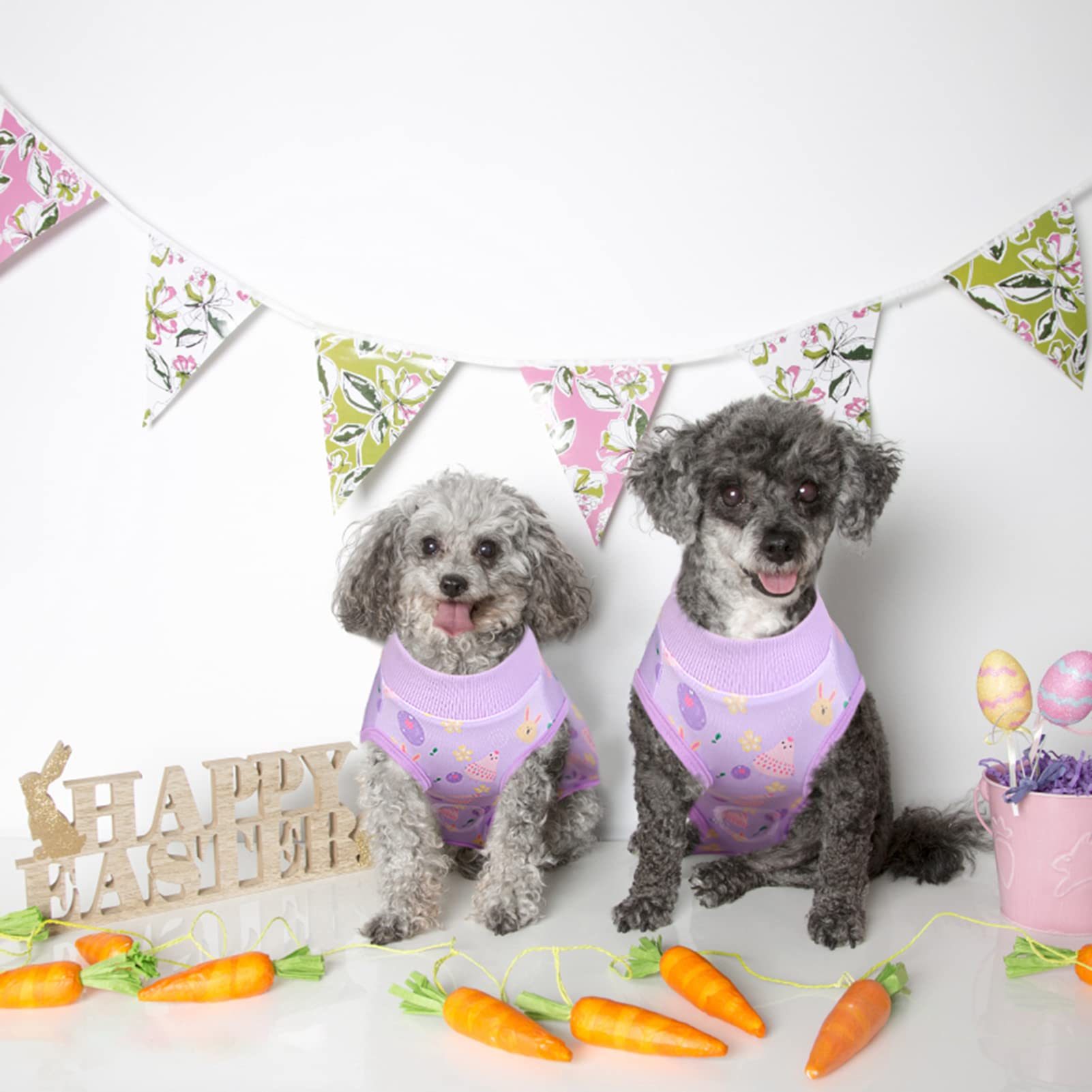 **ASENKU Easter Dog Onesie Pet Pajamas - Post-Surgery Recovery Suit for Dogs & Cats - Soft Bodysuit Costume for Small, Medium, Large Pets (Easter Theme, Size M) - Perfect for Holidays, Recovery & Playtime**