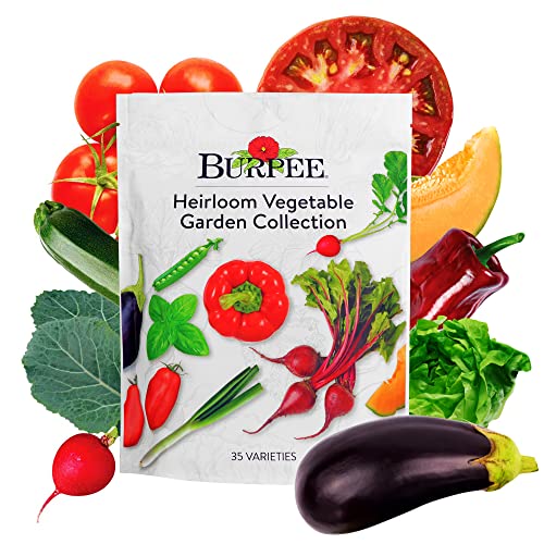 Best 35 Heirloom Vegetable Seeds
