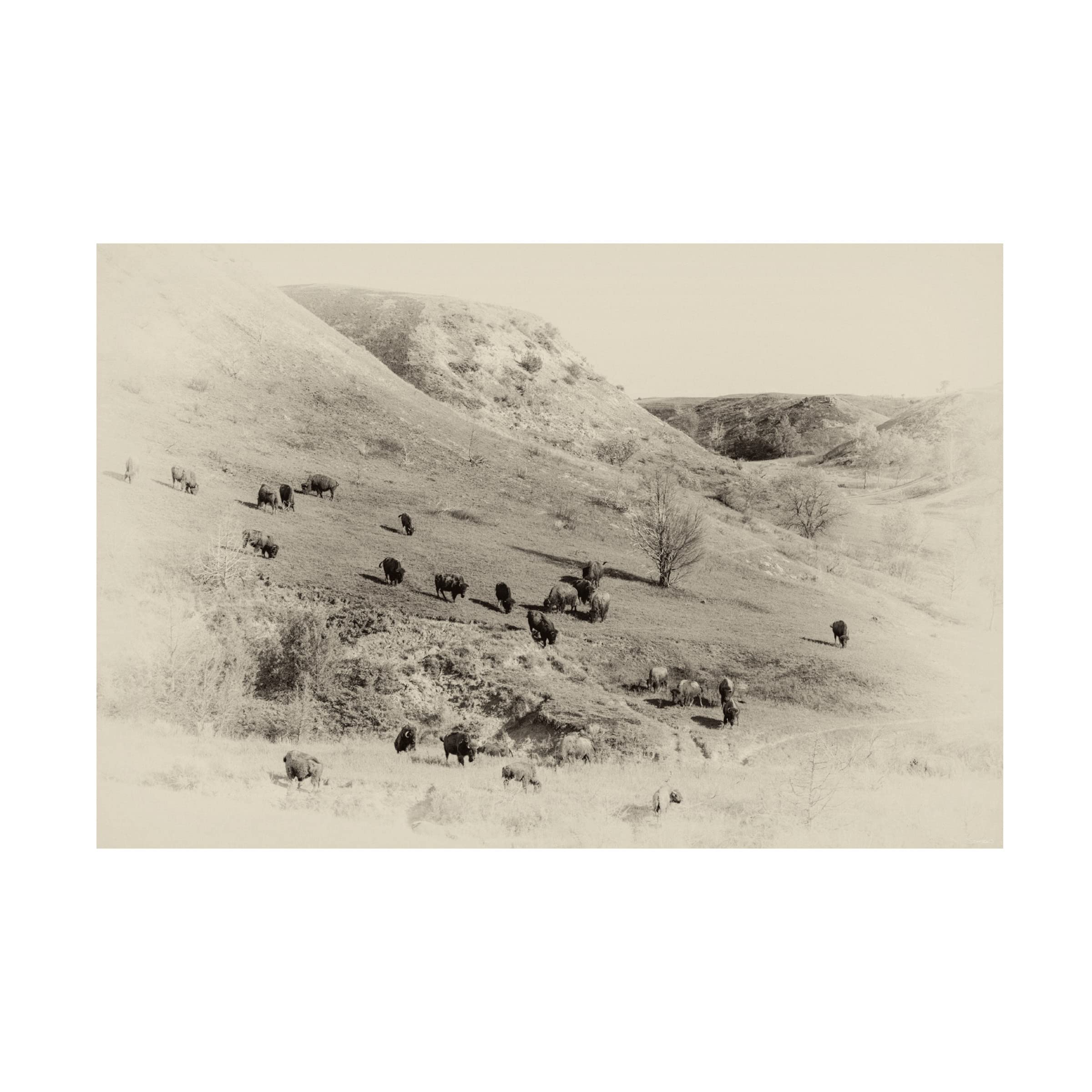 Gordon Semmens 'Badlands Antique 08' Canvas Art Print - 16x24 Inch Western Landscape Wall Decor - Perfect for Living Room, Office & Ranch Style Home Decor