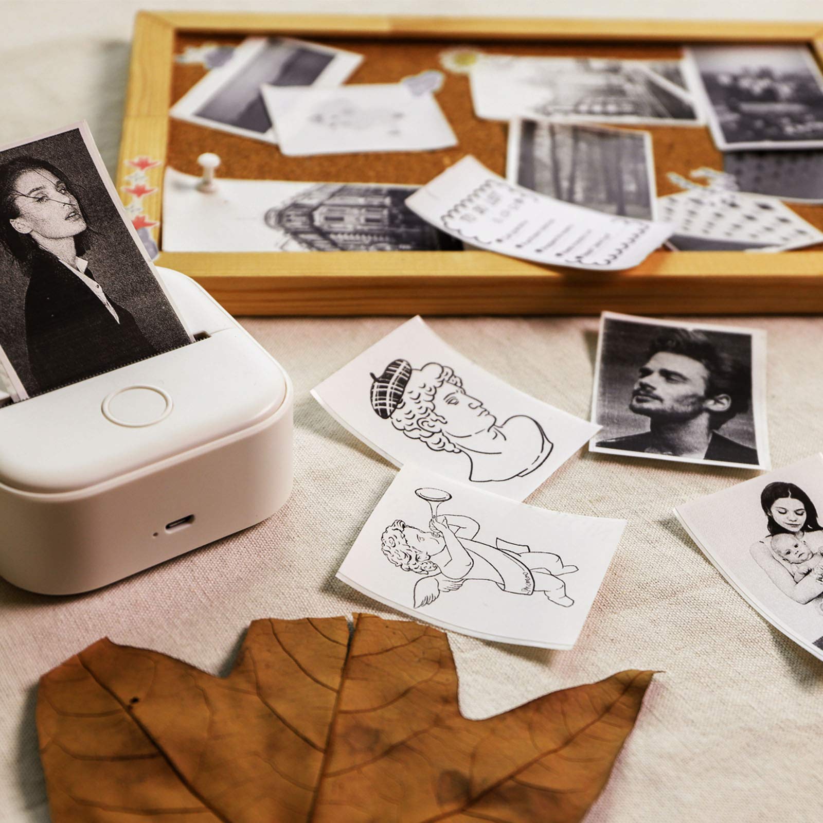 Memoking T02 Portable Thermal Sticker Printer - Inkless Mini Printer for Sticky White Paper, Print Pods & Phone Stickers | Perfect for DIY Crafts, Scrapbooking, Labeling & Small Business Packaging