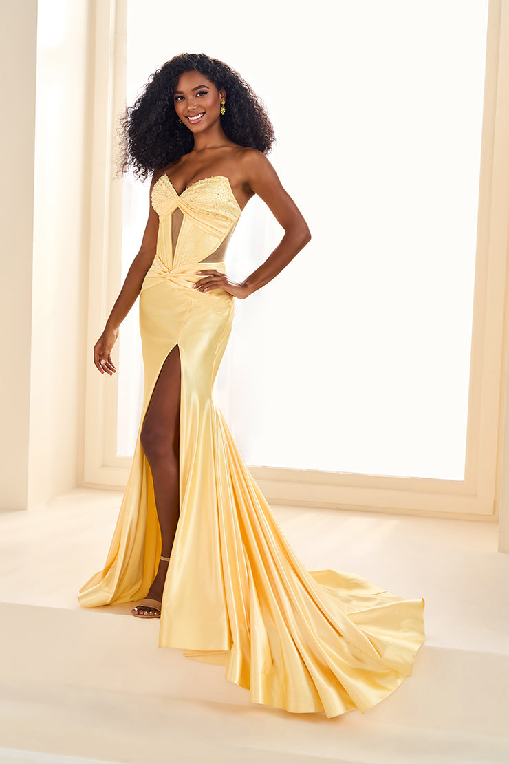 Ellie Wilde EW36009 Elegant Evening Gown - Perfect for Prom, Homecoming & Formal Events | Flattering A-Line Silhouette & Sparkling Embellishments