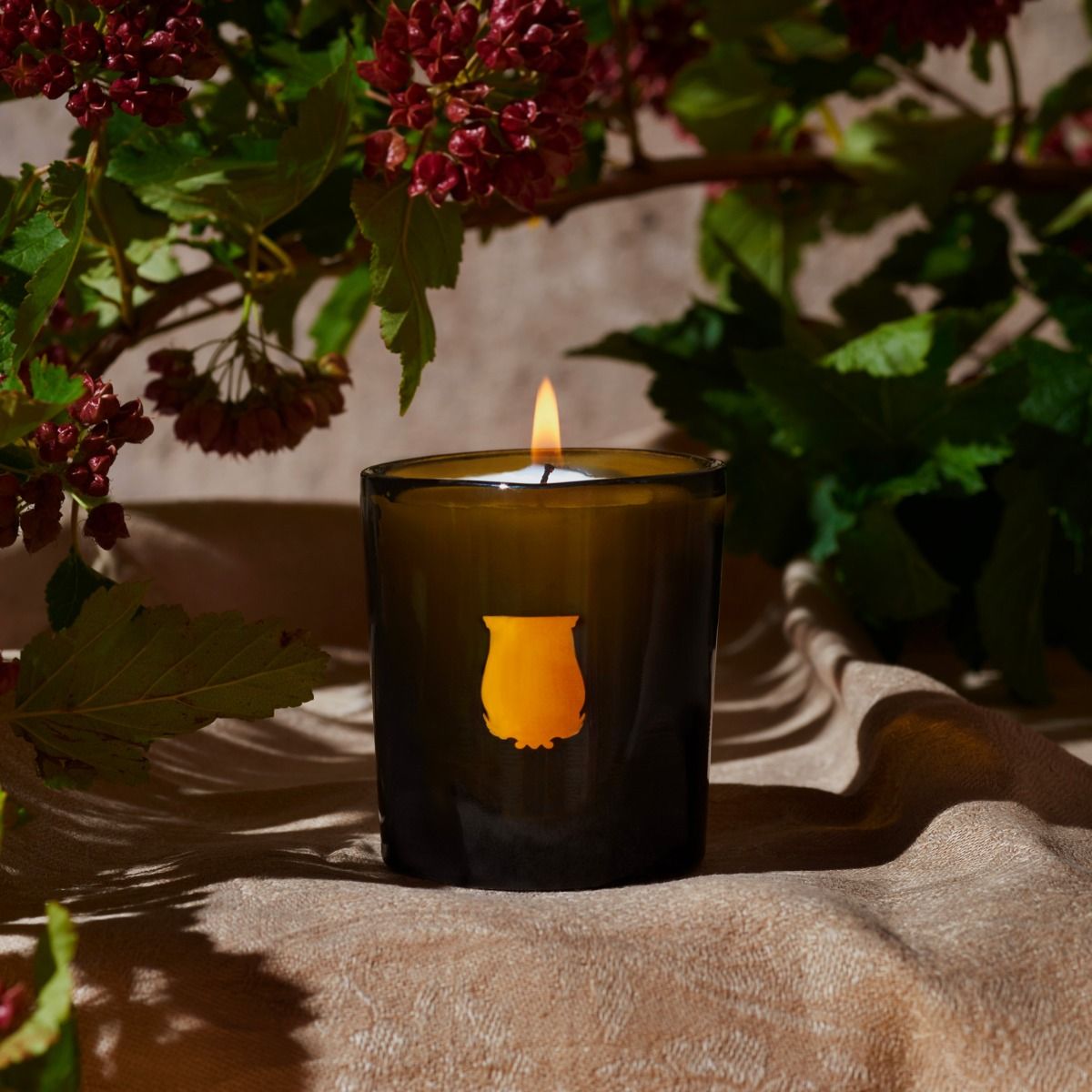 Cire Trudon Odalisque Scented Candle - Orange Blossom Fragrance | Luxury Home Decor & Relaxation Gift for Spa, Bedroom, and Meditation