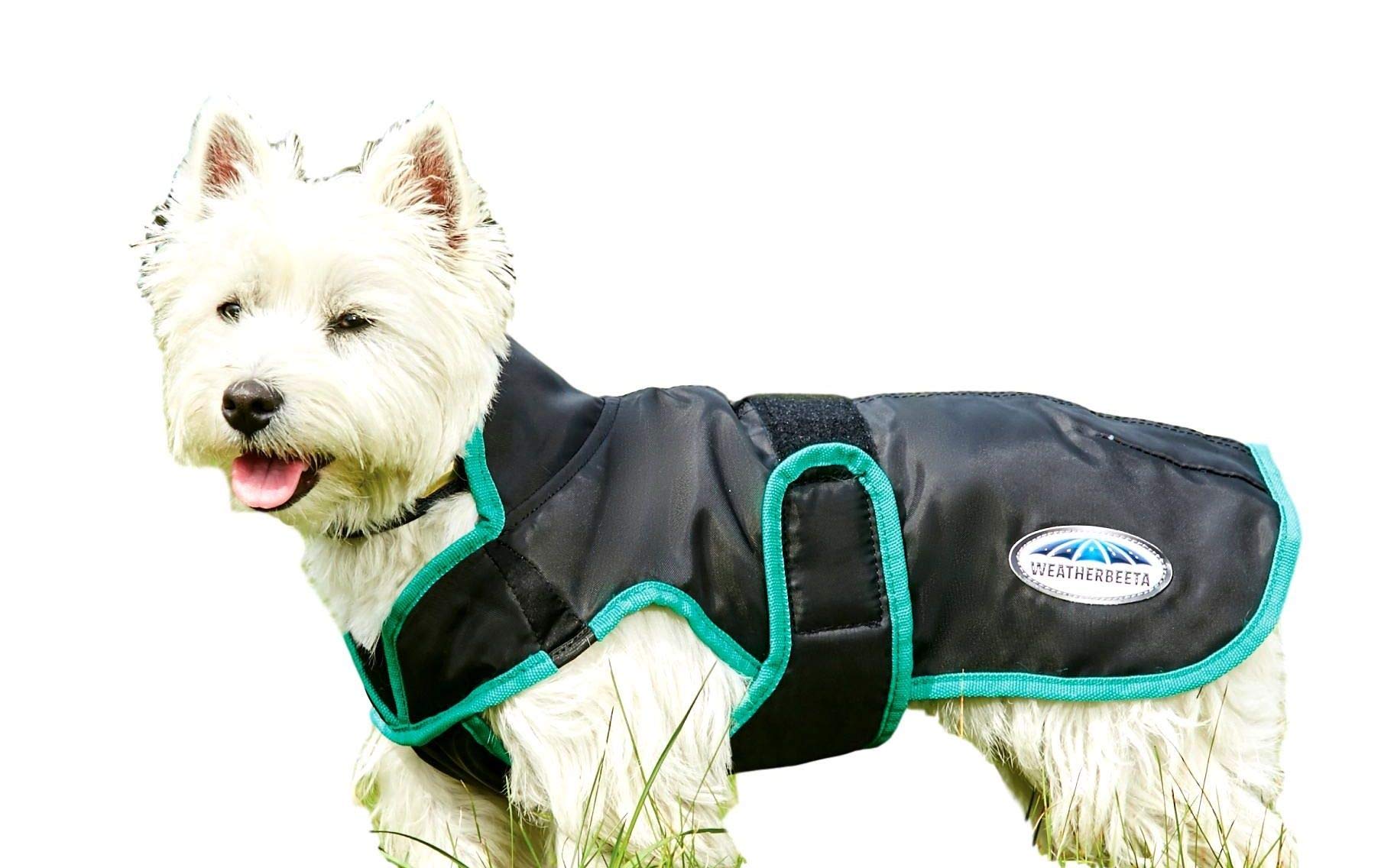WeatherBeeta ComfiTec Windbreaker Free Deluxe Dog Coat - Waterproof & Breathable Dog Jacket for Small Medium Large Breeds - Perfect for Rainy Days, Winter Walks & Outdoor Adventures