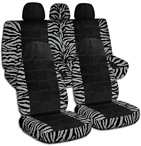Silver Zebra & Black