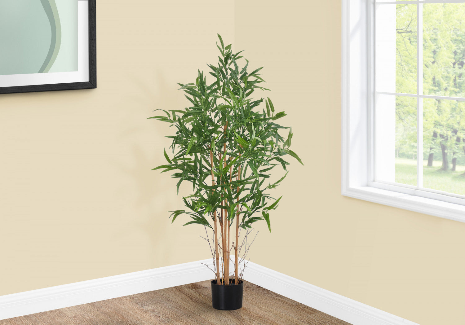 50 Pack Bamboo Plants in 5 Black Pots - Indoor House Plants for Home Decor, Office Feng Shui, and Gift Giving