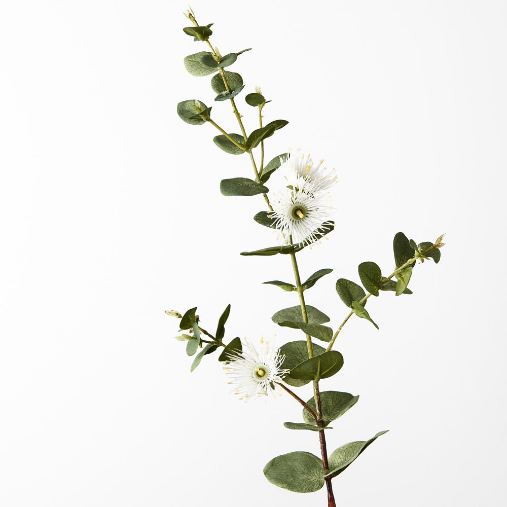 Fresh White Eucalyptus Dollar Flower Bouquet - Perfect for Weddings, Home Decor & Floral Arrangements