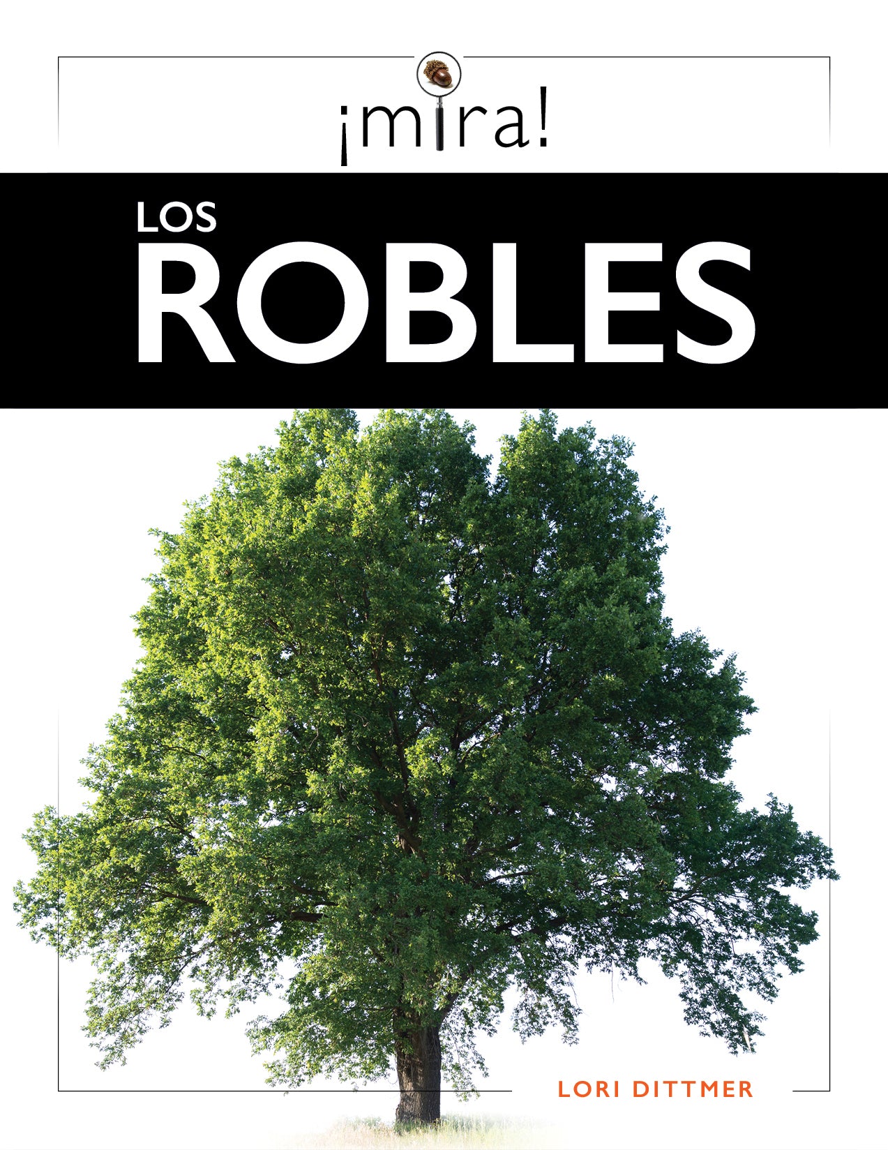 Los Robles Premium Home Decor - Elegant Wall Art & Decorative Accents for Living Room, Bedroom & Office