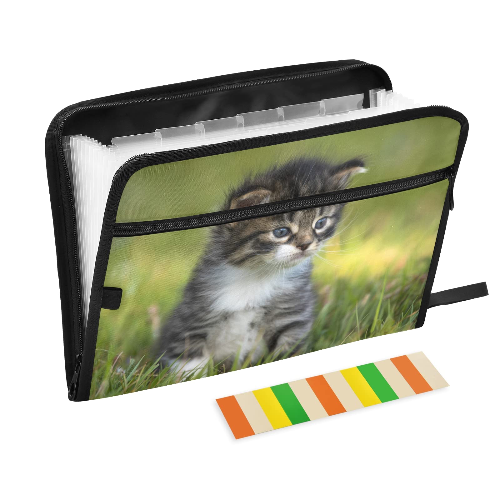 UMIRIKO 13-Pocket Expanding File Folder with Sticky Labels - A4 Letter Size Accordion Document Organizer with Zipper Closure | Perfect for Office, School & Home Organization (20220497)