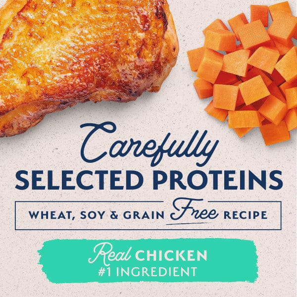 Natural Balance Limited Ingredient Chicken & Sweet Potato Recipe Canned Dog Food - Grain-Free Wet Food for Dogs with Sensitive Stomachs - Perfect for Mealtime & Digestive Health Support