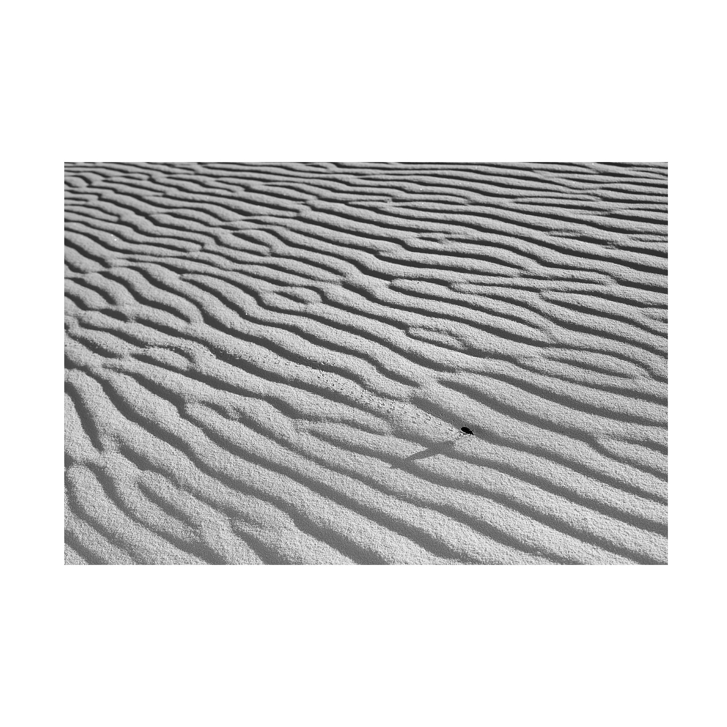 Trademark Fine Art 'The Long Journey' Canvas Wall Art Print by Christian Skilbeck - Perfect for Living Room, Bedroom & Office Decor