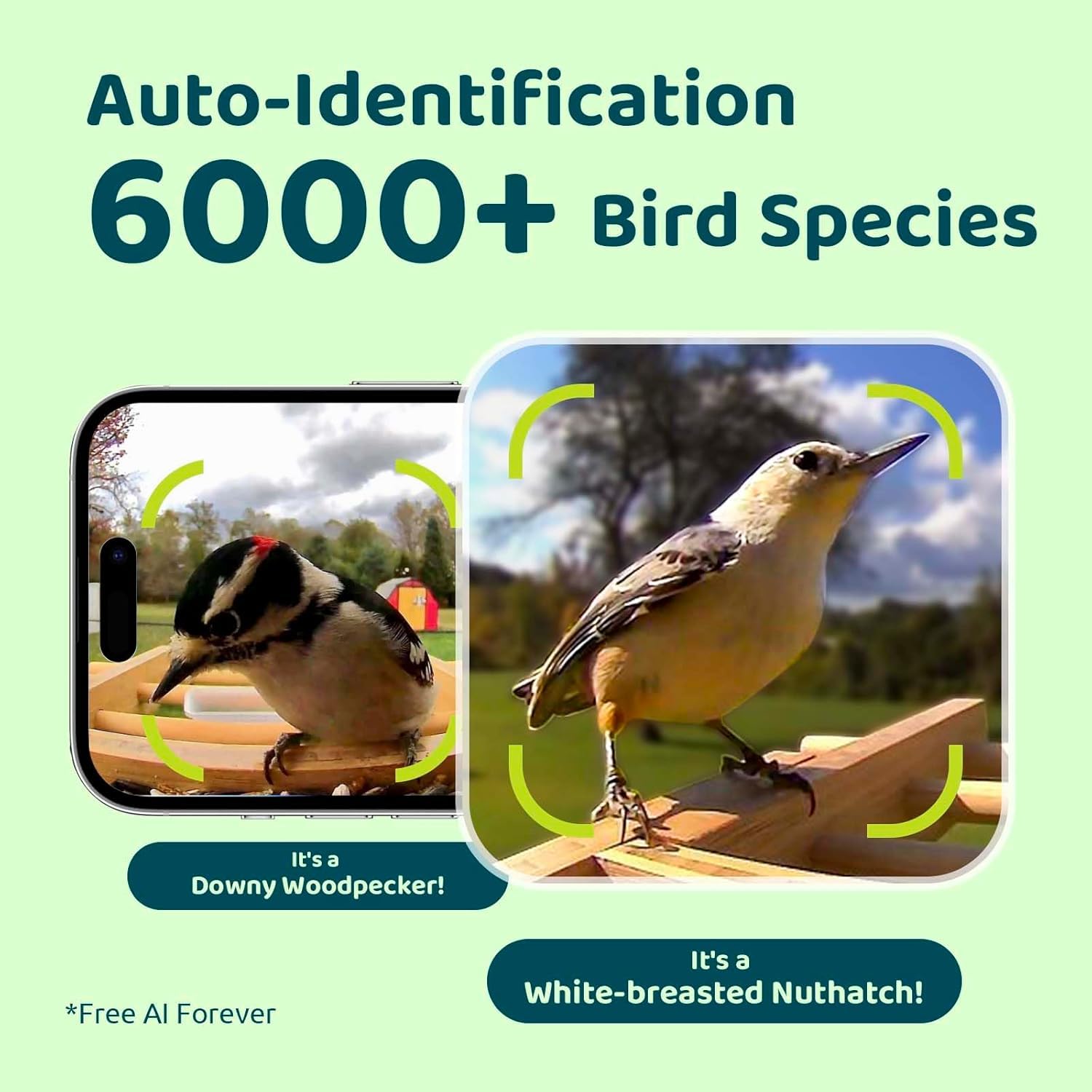 AI Smart Bird Feeder with Camera - Solar Powered Bamboo Birdhouse | Identifies 6000+ Species with Motion Detection | Perfect for Backyard Birdwatching & Nature Lovers Gift