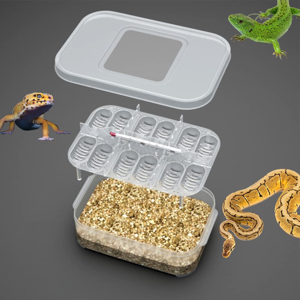 12 Grid Reptile Egg Incubator Tray - Perfect for Breeding Snakes & Lizards