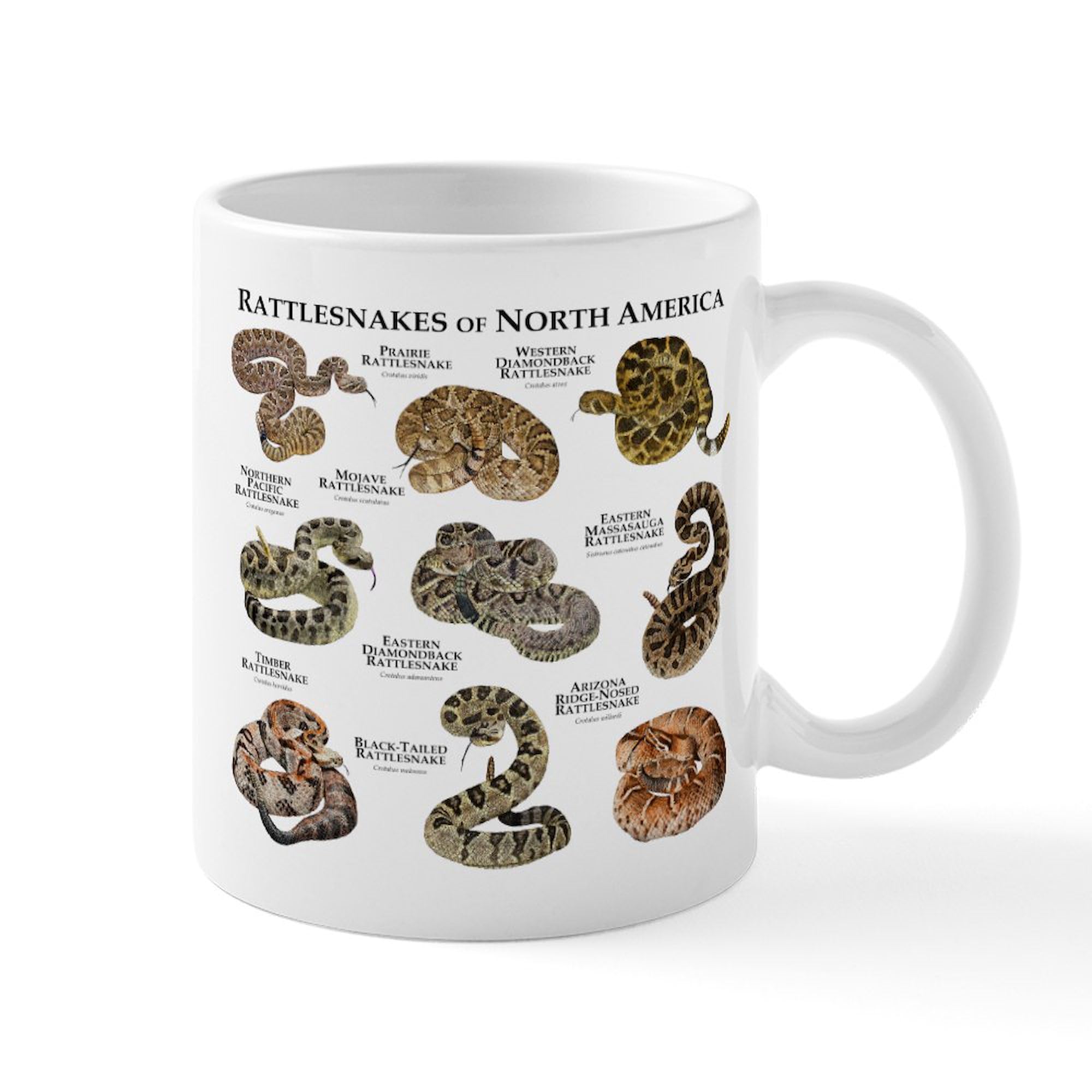 Rattlesnakes of North America 11 oz Ceramic Coffee Mug (325 ml) - Perfect for Home, Office, or Gift - Durable & Stylish Coffee Cup